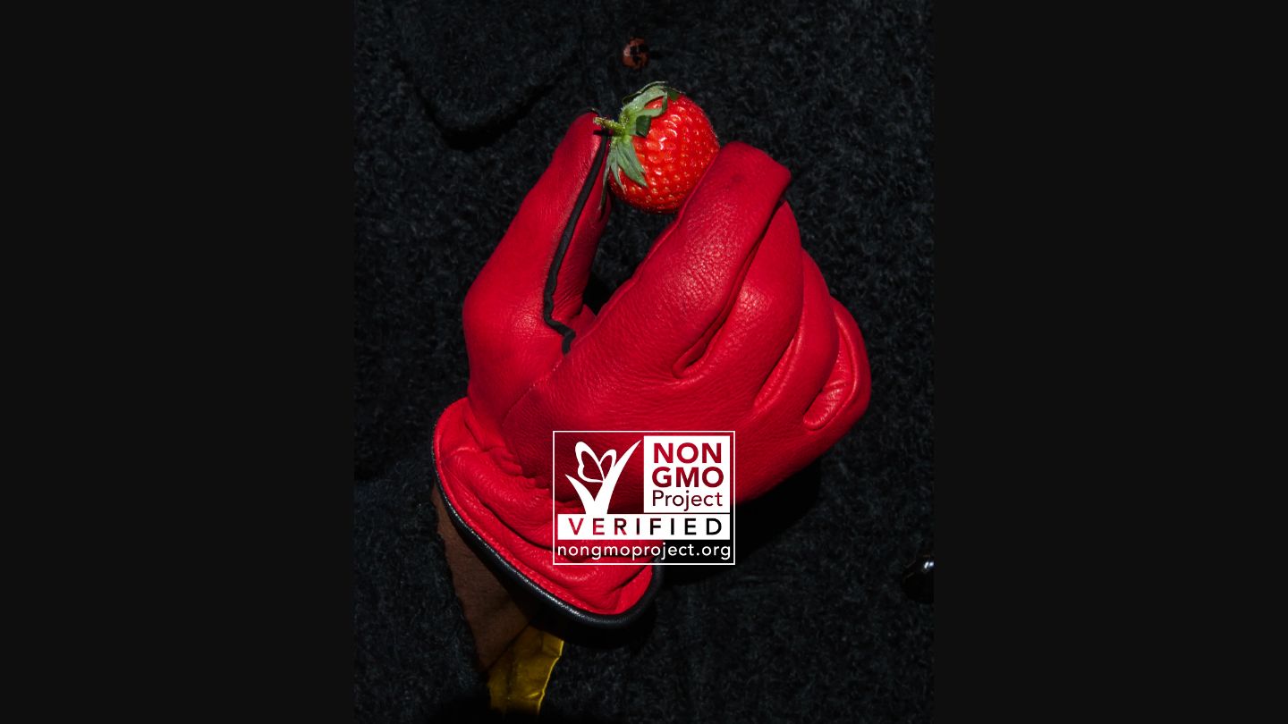 Red gloved hands holding a strawberry with Non‑GMO Project Verified seal